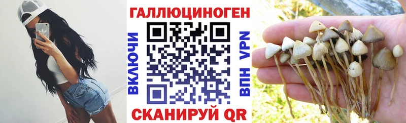 Галлюциногенные грибы GOLDEN TEACHER  Купить закладки  Ясный 